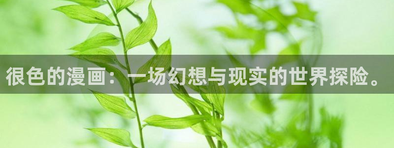 l韩漫画