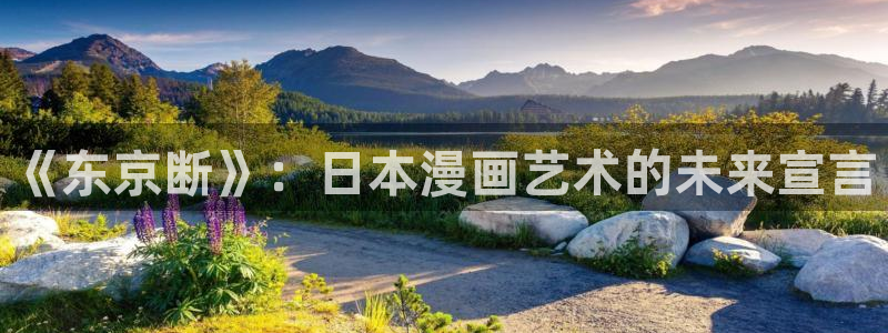 韩漫日漫在线看：《东京断》：日本漫画艺术的未来宣言