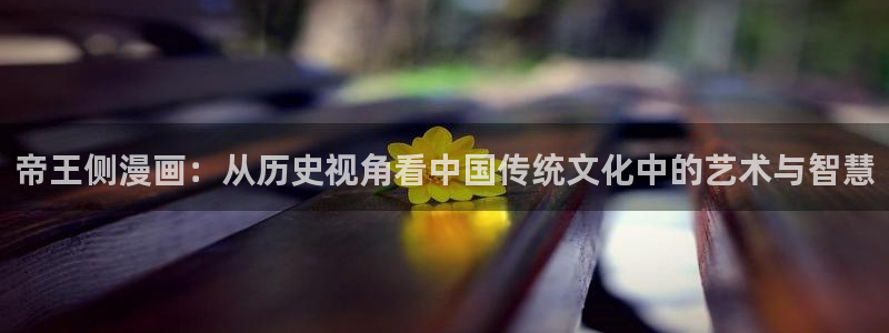 韩漫女神网站：帝王侧漫画：从历史视角看中国传统文化中的艺术与智慧