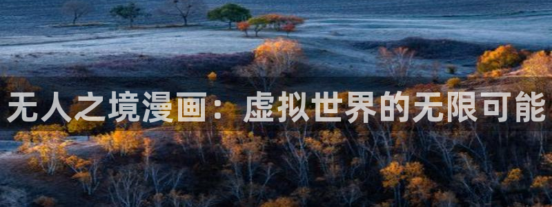 韩漫画 在线：无人之境漫画：虚拟世界的无限可能