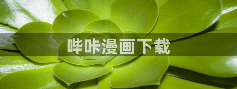 黑道千金韩漫免费观看：哔咔漫画下载