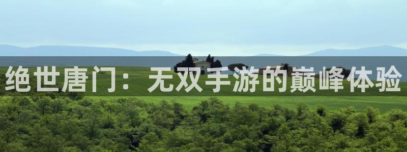 韩漫_韩国漫画：绝世唐门：无双手游的巅峰体验