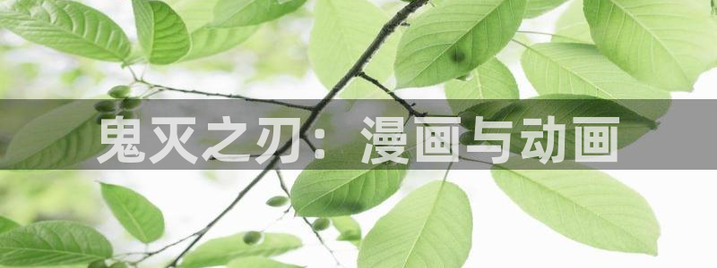 韩漫画免费漫画在线观看方法：鬼灭之刃：漫画与动画