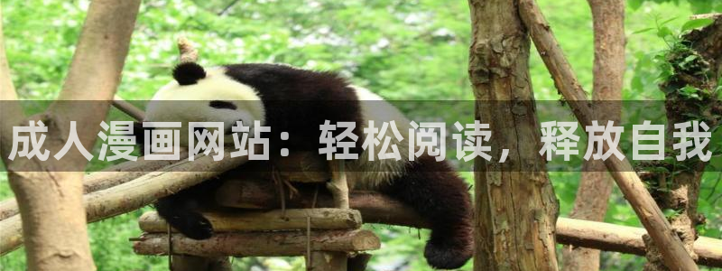 妄想的边界韩漫在线观看