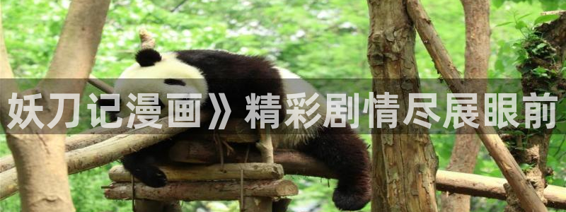 韩漫陷阱免费观看