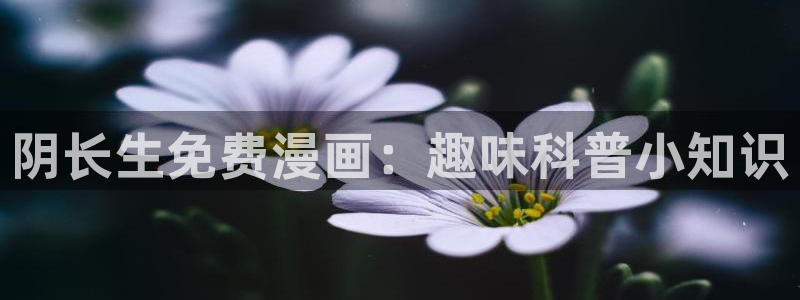 第一漫画韩漫榜