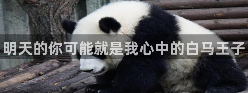 漫画韩漫免费