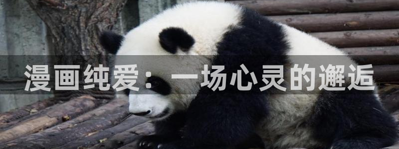 漫漫漫画免费版在线阅读韩漫免费