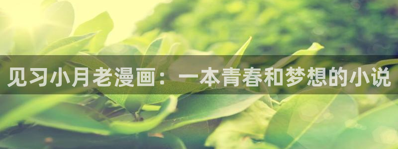 双男主韩漫免费看