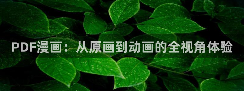 韩漫无羞遮无删减漫画一本漫