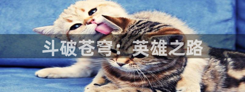韩漫资源从哪来
