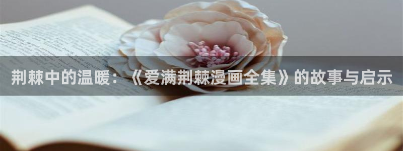 韩漫在哪里观看
