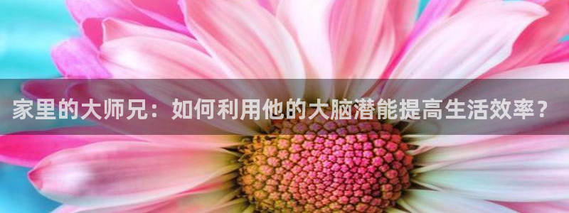 歪歪韩漫在线免费观看
