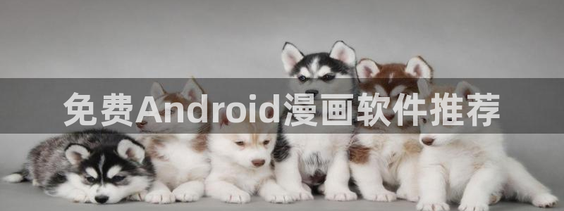 韩漫免费观看h：免费Android漫画软件推荐