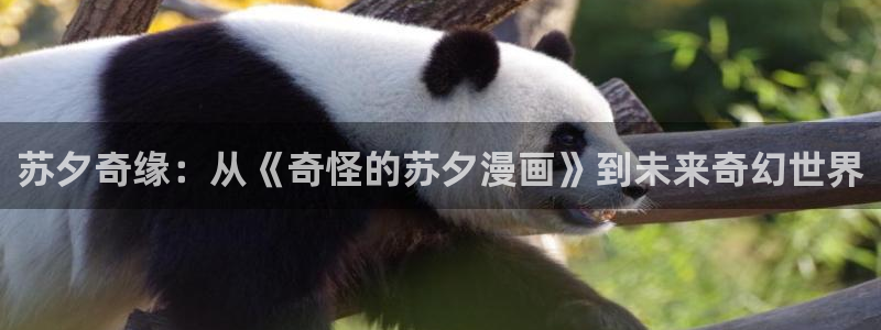 韩漫免费漫画免费：苏夕奇缘：从《奇怪的苏夕漫画》到未来奇幻世界