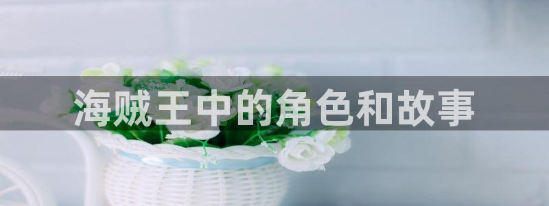 韩漫免费阅读网站：海贼王中的角色和故事