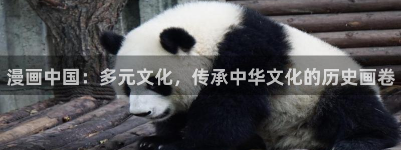 韩漫画首页：漫画中国：多元文化，传承中华文化的历史画卷